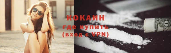 твердый Новозыбков